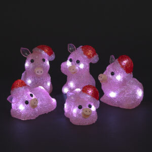 Set of 5 Acrylic Pigs w/40 White LEDS