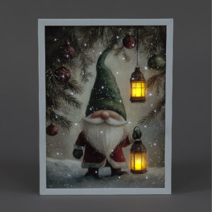 B/O LED 30x40cm LED Wall Art Gonk